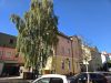 Vollvermietetes Mehrfamilienhaus mit Gewerbeeinheit in zentraler Lage von Augsburg-Oberhausen! - Seitenansicht